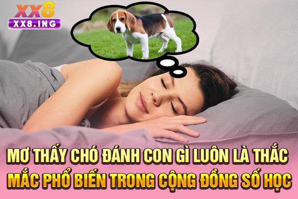 Mơ thấy chó đánh con gì luôn là thắc mắc phổ biến trong cộng đồng số học