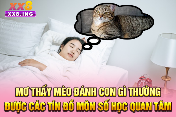 Mơ thấy mèo đánh con gì thường được các tín đồ môn số học quan tâm